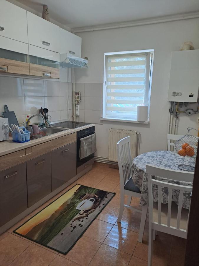 דירות בראשוב Garsoniera Bia מראה חיצוני תמונה